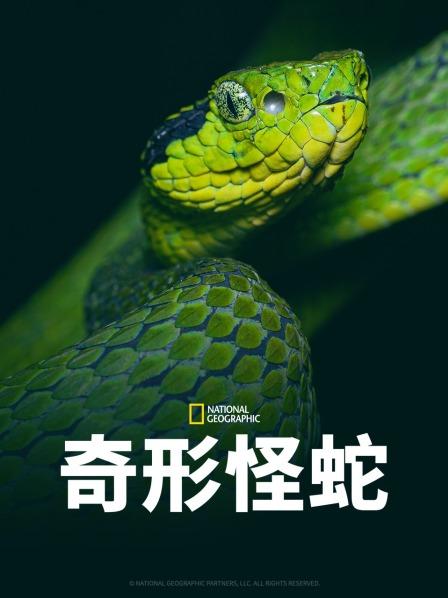 91吃瓜《奇形怪蛇》免费在线观看